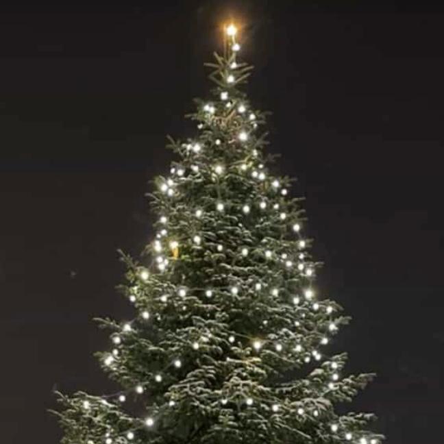 2023 12 Weihnachtsbaum