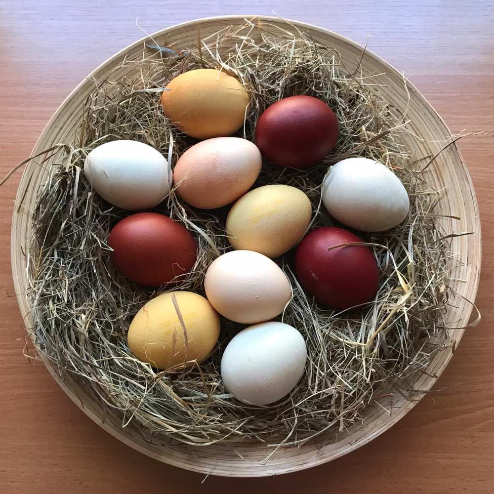 Ostern